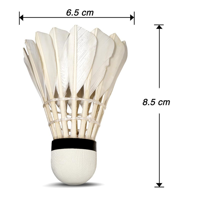 VINEX Victorie Duck Feather Shuttlecock – (Pack of 12), Durable Feather Birdies for Badminton, Premium Cork Base, Tournament & Practice Use - Image 3