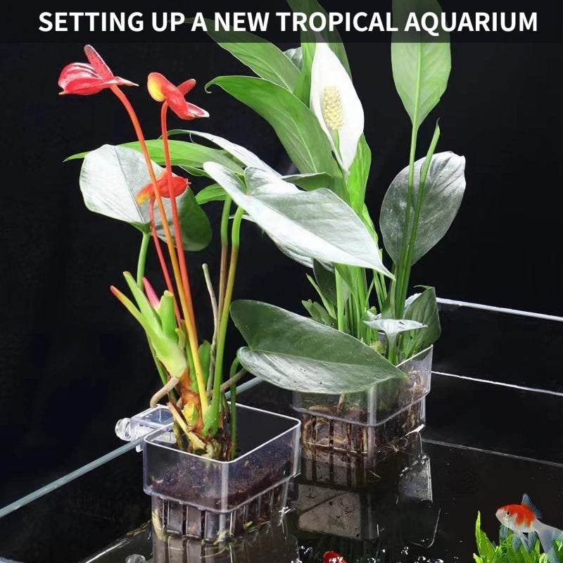 GLEFLE 2 PCS Aquarium Plant Holder Top Hanging Fish Tank Plant Pot Aquarium Planter Cups for Water Feature Decoration - Image 2