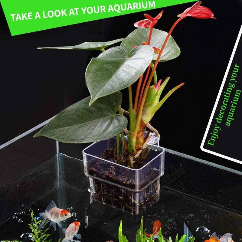 GLEFLE 2 PCS Aquarium Plant Holder Top Hanging Fish Tank Plant Pot Aquarium Planter Cups for Water Feature Decoration - Image 3