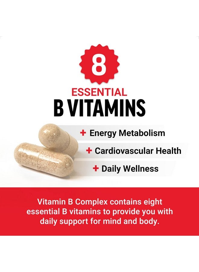 FORCE FACTOR Vitamin B Complex to Support Energy, Vitality, and Heart Health, Includes Vitamin B1, Vitamin B2, Vitamin B3, Vitamin B6, Vitamin B12, and More, Vegan, Non-GMO, 60 Vegetable Capsules - Image 2