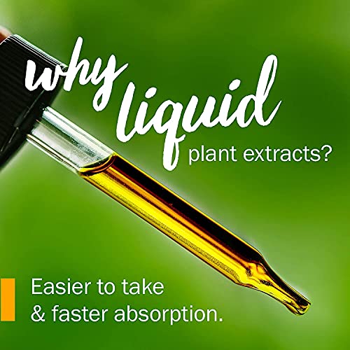 Herb Pharm Certified Organic Blue Cohosh Liquid Extract - 1 Ounce - Image 3