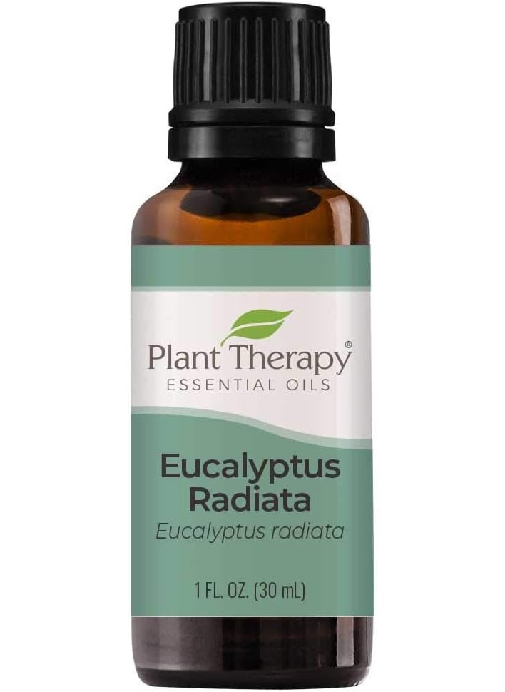 Plant Therapy Plant Therapy Eucalyptus Radiata Essential Oil 30 mL (1 oz) 100% Pure, Undiluted, Therapeutic Grade 