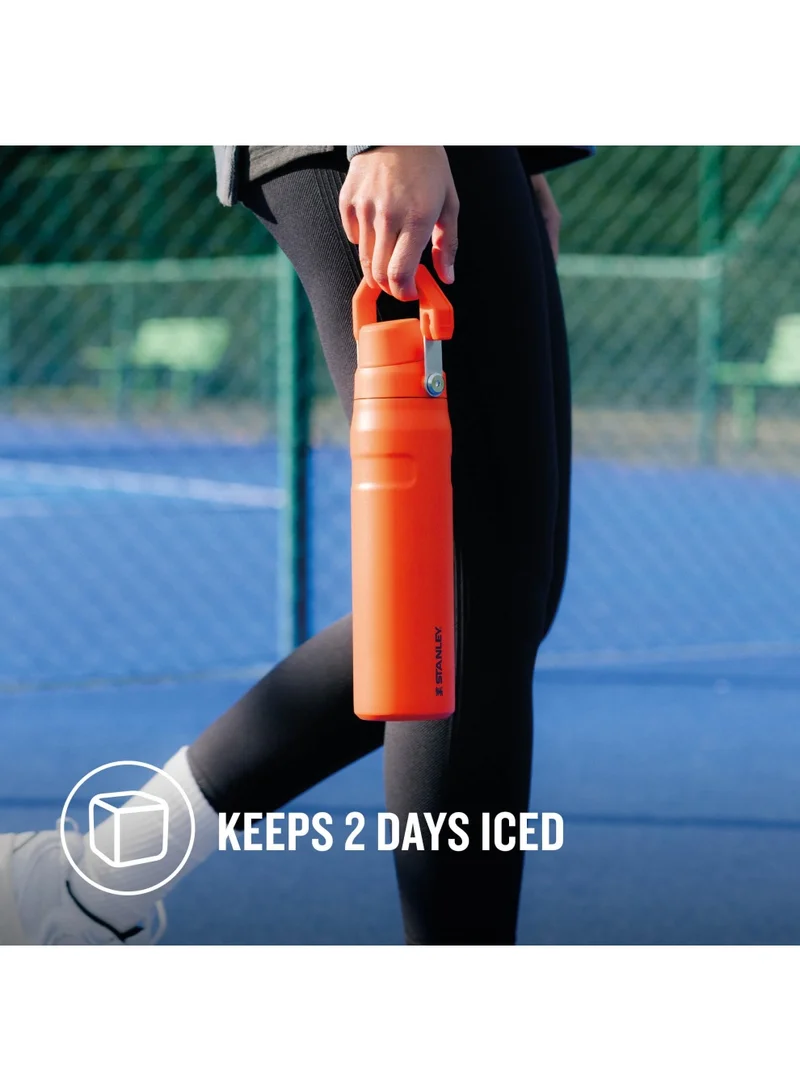 Stanley The Aerolight IceFlow Water Bottle Fast Flow 0.6L - Keeps 10 Hours Cold - Lightweight Insulated Water Bottles - Dishwasher Safe - Leakproof and Fast Flow Lid - BPA Free - Tigerlily