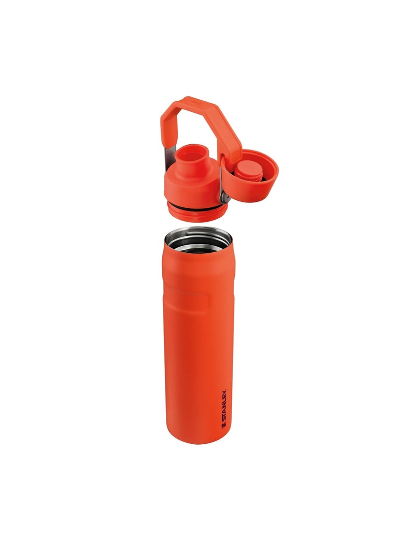 Stanley - The Aerolight IceFlow Water Bottle Fast Flow 0.6L - Keeps 10 Hours Cold - Lightweight Insulated Water Bottles - Dishwasher Safe - Leakproof and Fast Flow Lid - BPA Free - Tigerlily - Image 1