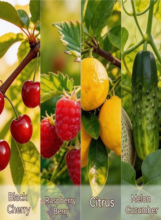 عبوات معطر جو كهربائي للمنزل، بروائح الكرز الأسود، والتوت، والحمضيات، والبطيخ والخيار الصيفية للحمام، 12 عبوة، 7.92 أونصة سائلة، متوافق مع معطرات الجو من إير ويك وجليد - Image 3