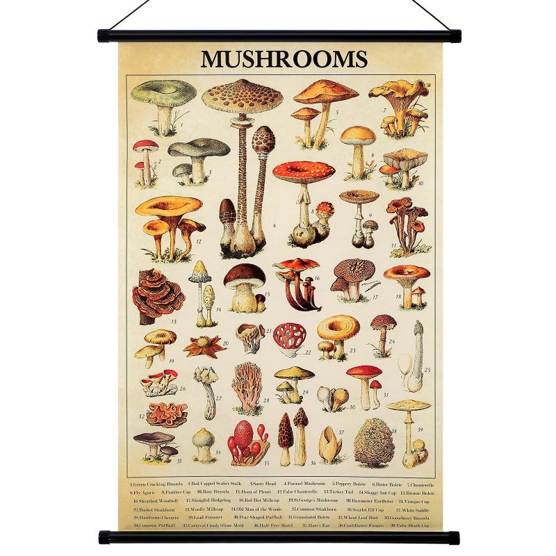 Geyee Vintage Mushroom Poster Tapestry Fungus Wall Art Prints Rustic Mushroom Wall Hanging Illustrative Reference Poster for Living Room Office Classroom Bedroom Decor 158x236 InchKraft Color