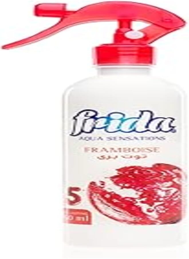 Frida فريدا أكوا سينسيشنز معطر جو بالتوت. 460 مل 