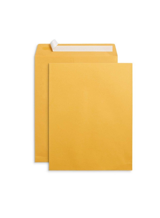 Blue Summit Supplies 100 10” X 13” Catalog Envelopes Self Seal For Mailing Catalogs Magazines And Other Thick Documents No Window 28 Lb Paper Envelopes 100 Pack - Image 1