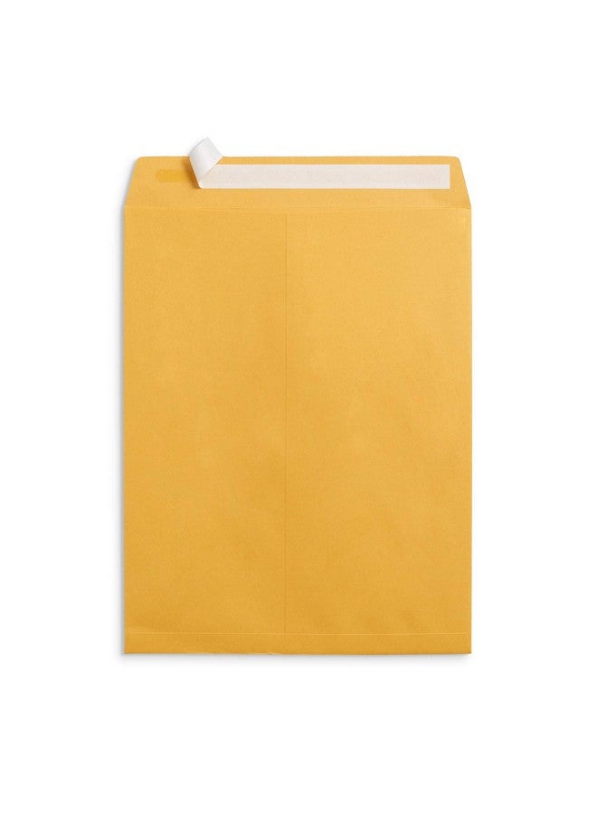 Blue Summit Supplies 100 10” X 13” Catalog Envelopes Self Seal For Mailing Catalogs Magazines And Other Thick Documents No Window 28 Lb Paper Envelopes 100 Pack - Image 2