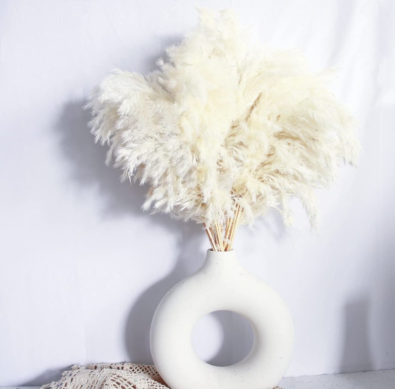 White Pampas Grass for Home Decor  Elegant Boho Decor  Premium Quality Pampas Grass Stems  Perfect for House Nursery Western Wedding Table and Bohemian Decor 20PCS