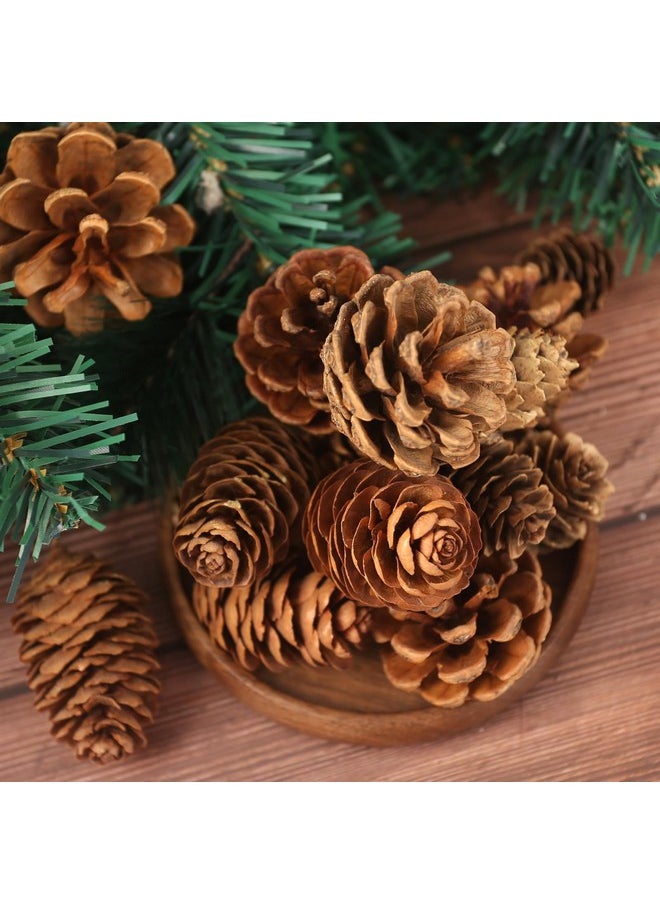 Johouse - 40Pcs Natural Pine Cones Bulk, Pinecones Decorations Pine Cone Ornaments For Crafts Thanksgiving Christmas Wreath Table Bowl Decor - Image 1