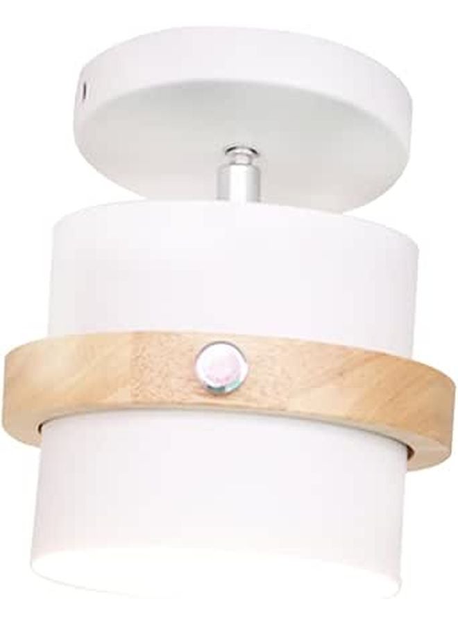 White LED Ceiling Lamp Modern Corridor Fixture for Bedroom Living Dining Kitchen Hallway - Image 1