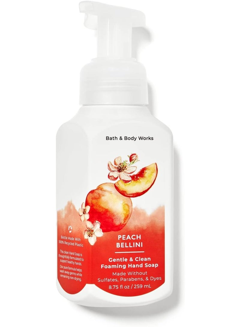 بيتش بيليني غسول رغوي لليدين 259 مل