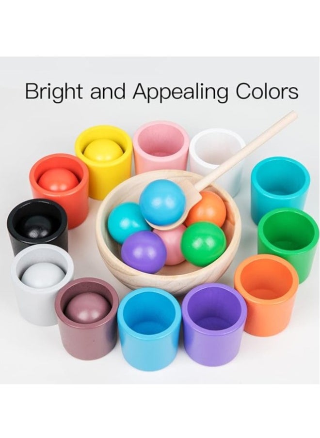 Wooden cups and balls color sorting toys, Montessori matching toy set for kids  - Image 2