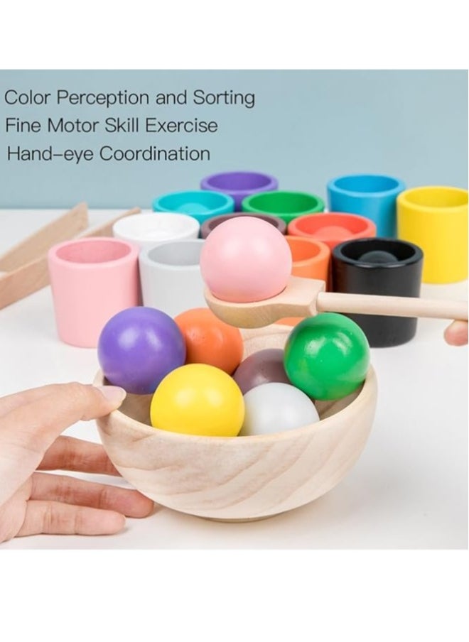 Wooden cups and balls color sorting toys, Montessori matching toy set for kids  - Image 3