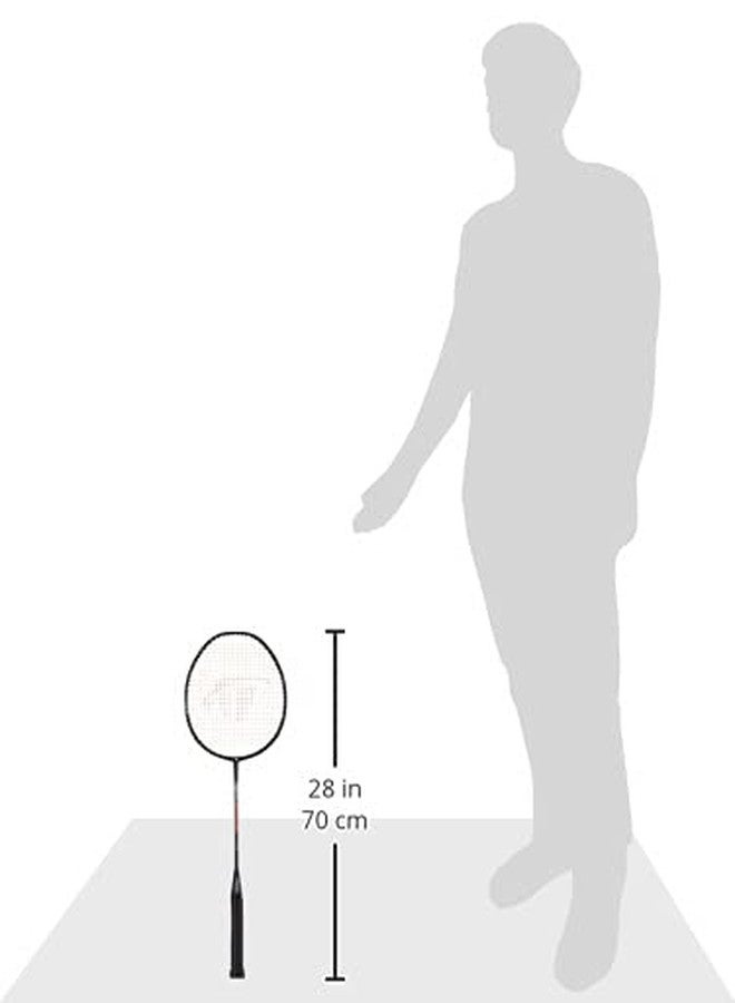 ترايامف مضرب تنس الريشة خفيف الوزن من مادة الجرافيت المركبة من تريومف سونيك مع حقيبة تنس الريشة ذات حجرتين من نوع كوزميك-6 آر، لون سماوي/رمادي - Image 4