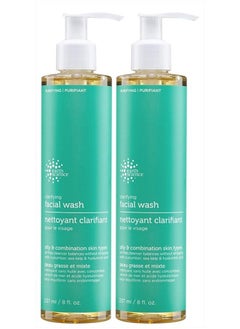 Earth Science EARTH SCIENCE - Gentle Clarifying Facial Wash For Oily, Combination Skin Types (2pk, 8 fl. oz.)  - Image 1