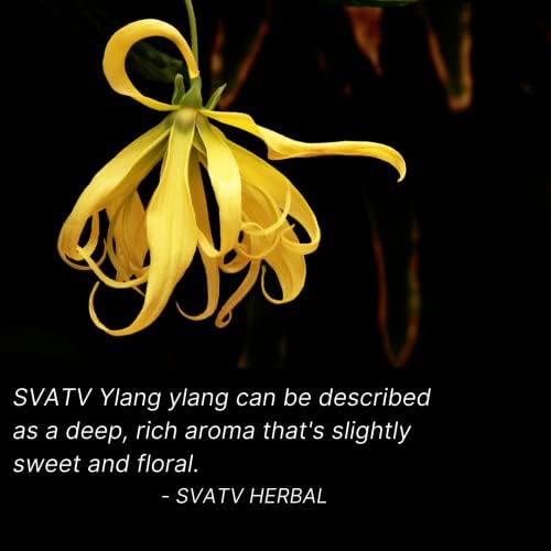 SVATV Ylang Ylang Essential Oil Therapeutic Grade Aromatherapy Oils Fragrance Oil for Diffuser Yoga Massage & DIY Personal Care 10 ml - Image 4