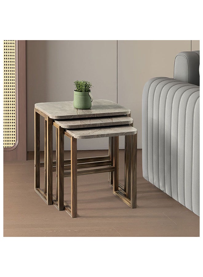 DANUBE HOME Elsberg Set of 3 Nesting Tables - Grey Engineered Wood End Tables for Living Room Furniture - Stylish and Functional Nest of Tables - Perfect for Small Spaces - Durable PVC Finish - 2 Year Warranty