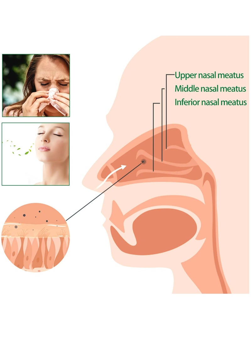 SOUTH MOON - Moisturizing Nasal Spray, Nasal Congestion Relief Throat And Nose Spray, Organic Herbal Lung Cleansing And Repair Spray, Herbal Nasal Cleaning Spray For Blocked Nose, (20ml) - Image 1