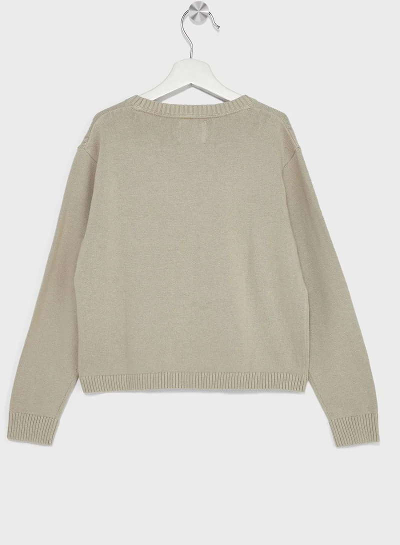 Calvin Klein Jeans Kids Crew Neck Sweater