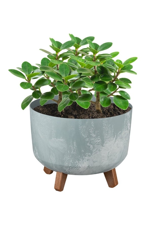 بروسبير بلاست وعاء زهور مستدير ذو تأثير خرساني جراسيا بأرجل مشبكة رمادي وبني 21.5 لتر - Image 3