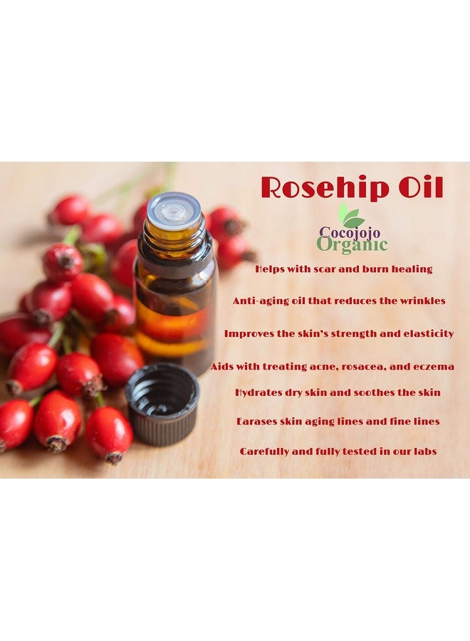 cocojojo Rosehip Oil 100% Pure Natural Seed Oil Cold Pressed 8 Oz Face Skin Unrefined Premium Grade - Image 2