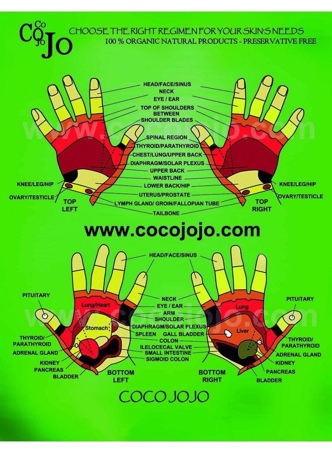 cocojojo Rosehip Oil 100% Pure Natural Seed Oil Cold Pressed 8 Oz Face Skin Unrefined Premium Grade - Image 5