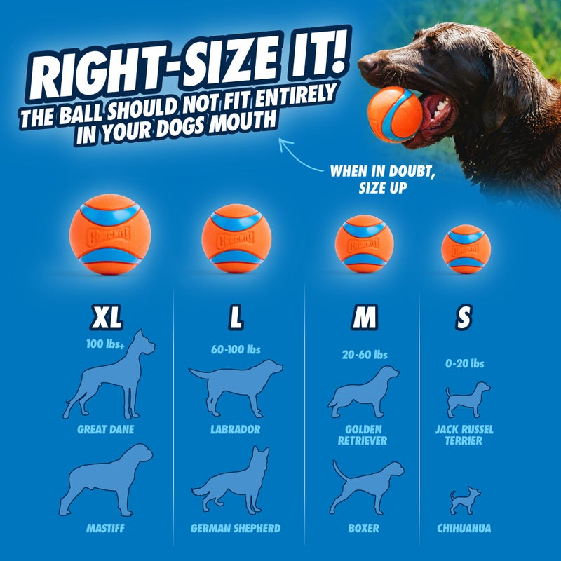 Chuckit! Gen 3 Fetch Medley Dog Balls - Interactive Dog Toys, High-Bounce Fetch Ball, Floating Ultra and Rugged Balls, Durable - Size Medium, 2.5-inch Diameter, Set of 3 - Image 4