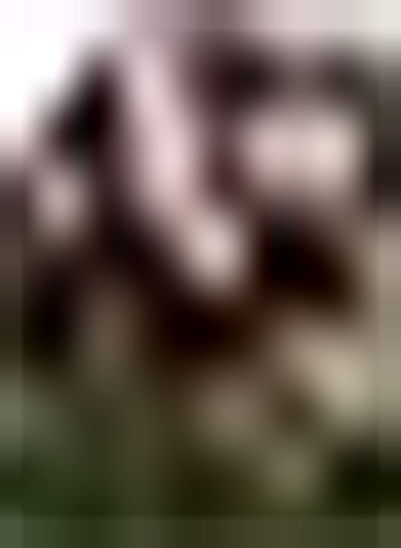 جي جوت 5 قطع من 5 قطع من قزحية العين القوية aanpassingsvermogen voor tuin huis balkon hekken tuin Decoratie bloemen genieten Van het plezier Van planten geschikt للمبتدئين - Image 2