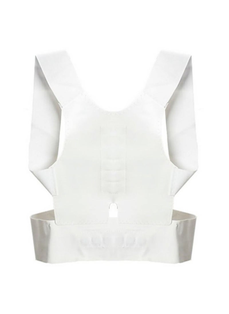KANGAROO - The belt and back corset are white for an elegant look and a very light weight of only 85 grams - Image 1