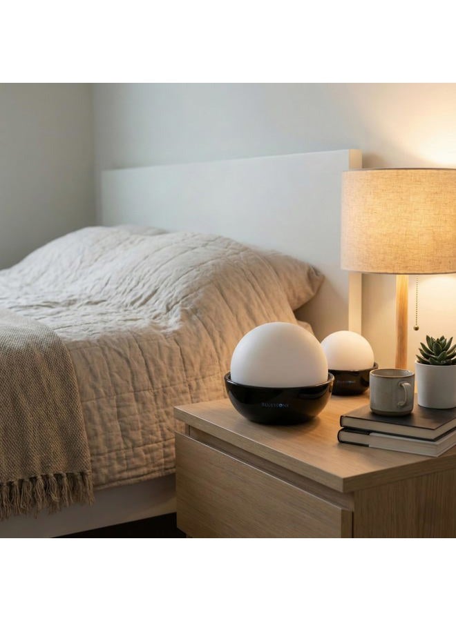 Bluestone Humidifiers, Set of 2 Stone Decorative Ceramic Natural Water Humidifier, Non-Electric Battery Free for Bedrooms, Great for Babies by - Image 2