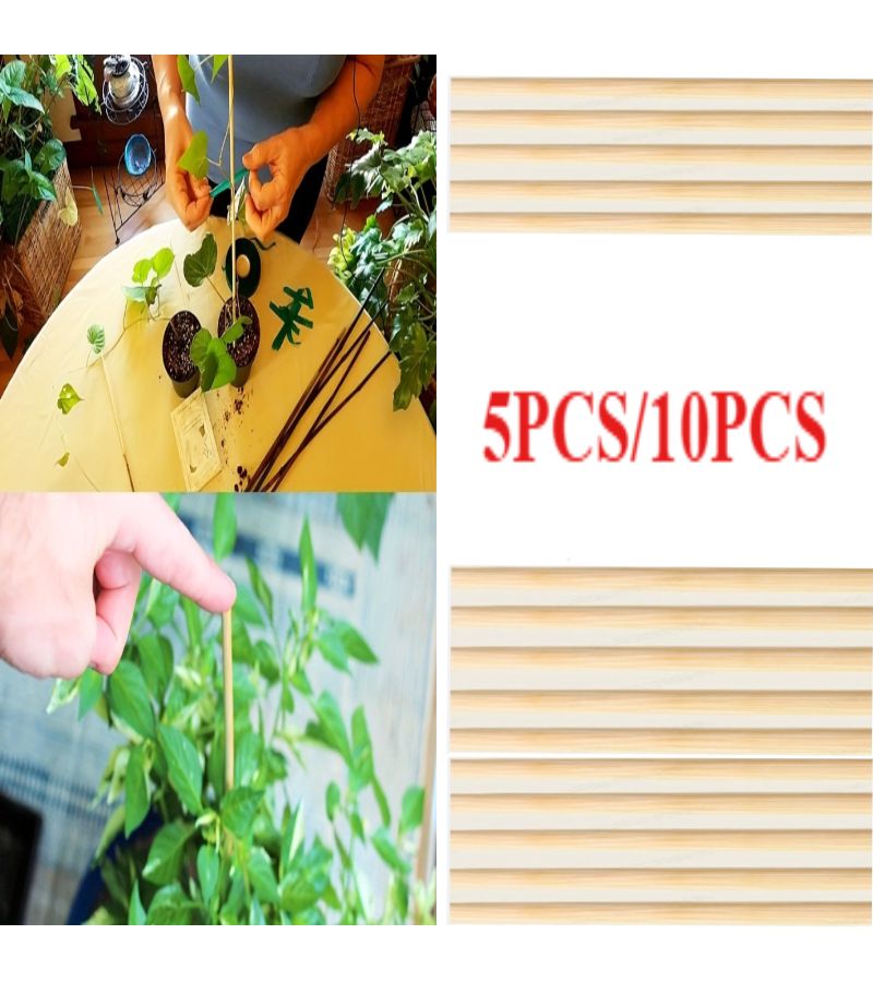 10pcs Bamboo Craft Sticks 39x1969 Inch Smooth Plant Support Crafts Art - Image 1