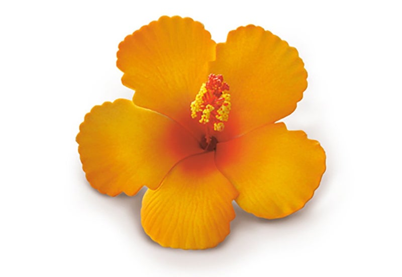 Welcome to the Islands Hibiscus Clip Foam Flower  Orange