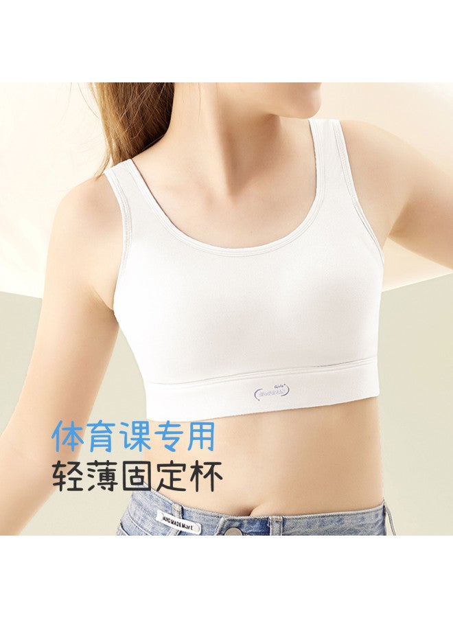 Long time companion middle & High School Sports Bras - Second Stage For Teen Girls' Pe Classes - Image 2