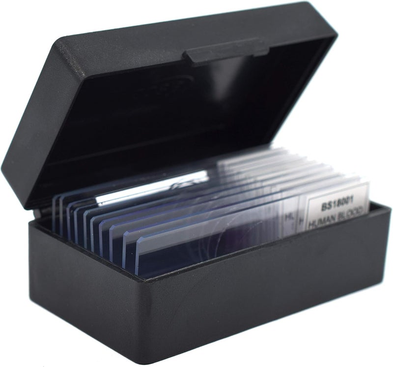 EISCO (Pack of 10) Bacillus Smear, Gram Positive Stain - Prepared Microscope Slides - 75 x 25mm - Classroom Pack, 10 Slides in Storage Case - Biology & Microscopy - Image 2