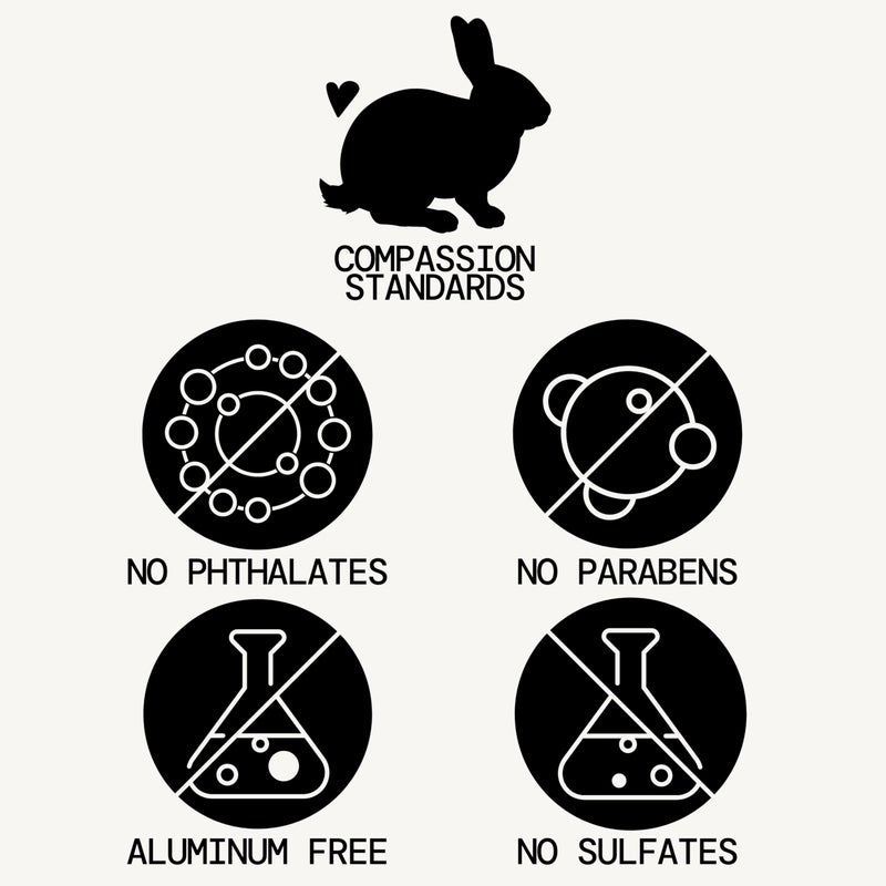 Pacifica Beauty Big Waves Coconut, Vanilla & Sea Salt Hairspray, Controls Frizz & Adds Volume, Designed for Wavy Hair, Vegan & Cruelty-Free, 6 Fl Oz - Image 4