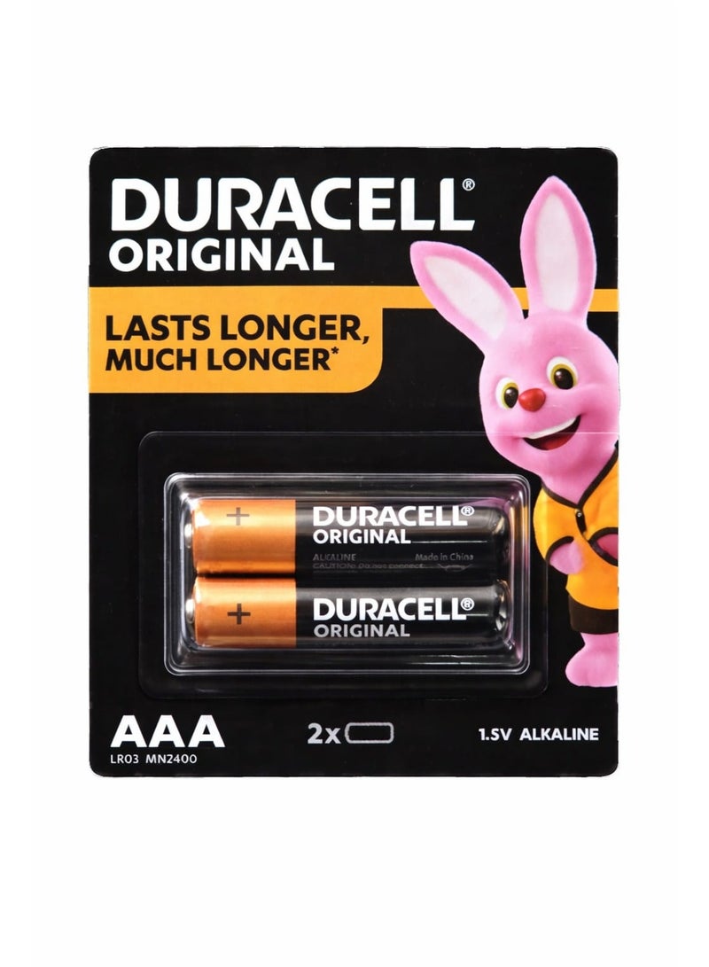 Pack of 2 Duracell AAA alkaline batteries (1.5V MN2400 LR03), designed for reliable, long-lasting energy with advanced leak-resistant protection