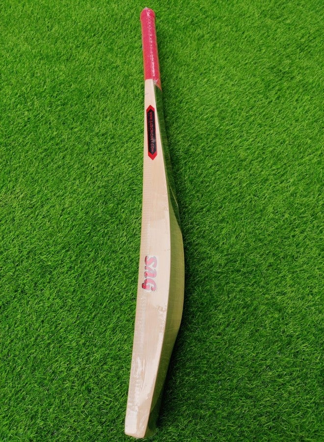 SAG Edition English Willow Cricket Bat Short Handle 5 Size, Full Cane Handle with Bat Cover Play for Leather Ball - Image 2
