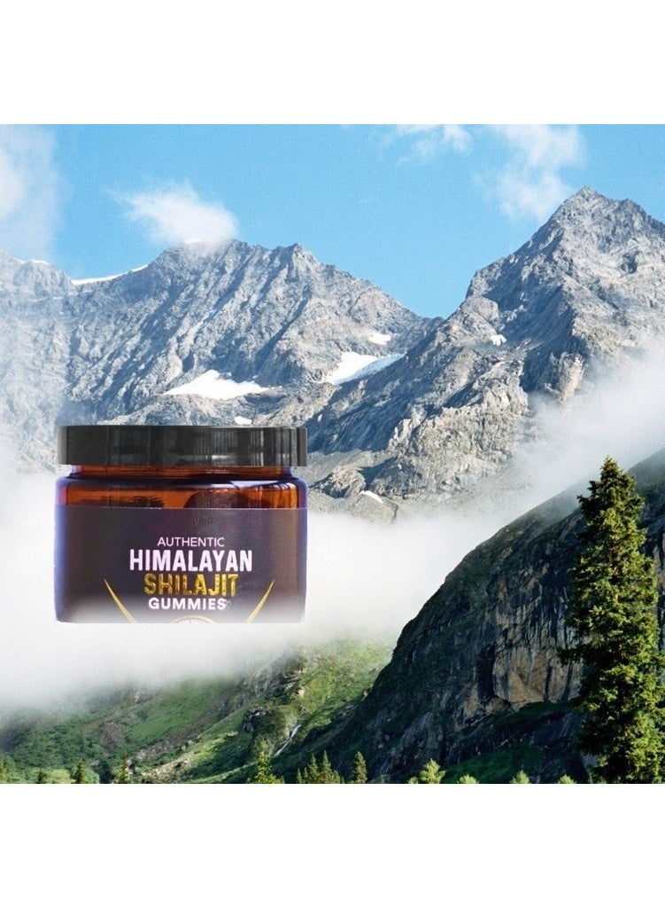 AUTHENTIC Shilajit Honey Gummies, Boost Immunity, Strength and Endurance - Image 4