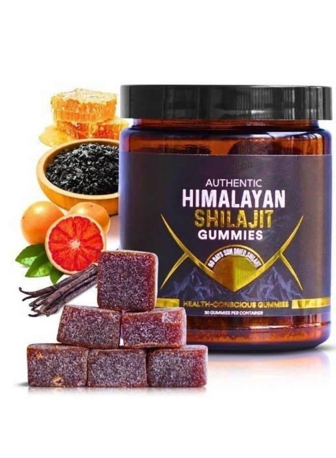 AUTHENTIC Shilajit Honey Gummies, Boost Immunity, Strength and Endurance - Image 1