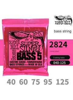 Five-string bass 2824 (40-125)