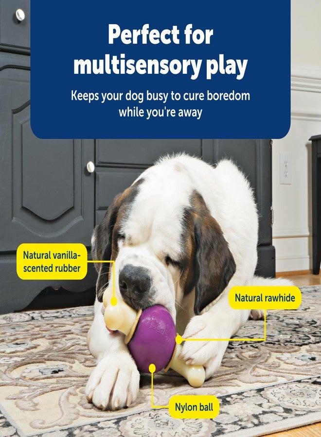 بيت سيف عظمة بيت سيف بيزي بادي النطاطة - لعبة تغذية بطيئة قابلة للتعديل 3 في 1 مع حلقات مكافآت قابلة لإعادة التعبئة - تنظف الأسنان واللثة، وتعالج الملل، وتبطئ عادات الأكل - حجم كبير - للكلاب التي يزيد وزنها عن 75 رطلاً - Image 4