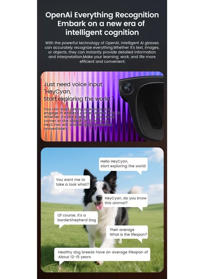 BlueFire Electrochromic AI Smart Glasses E02C with HD Camera 1080P Video Bluetooth Smart Sunglasses Auto Tint 4 Speed AI Translation Voice Control Music Calls 32GB Storage Black - Image 5