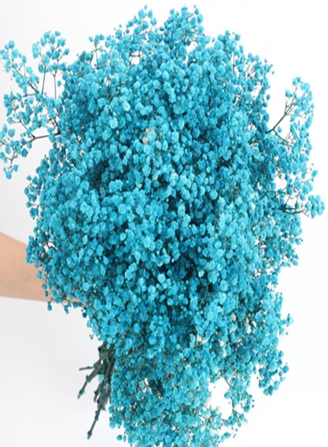 OUKEYI 17.2 Inch Dried Flowers Baby's Breath Bouquet - 2500+ Dry Flowers,Natural Gypsophila Branches for Home Decor, Wedding, Table Decor, DIY Wreath Floral, Dry Flowers Bulk for Vase (Blue) - Image 4