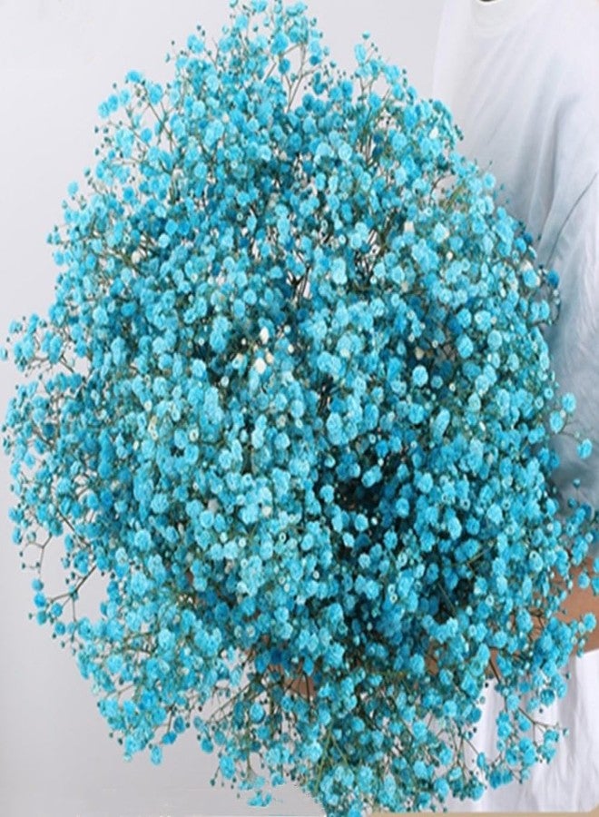 OUKEYI 17.2 Inch Dried Flowers Baby's Breath Bouquet - 2500+ Dry Flowers,Natural Gypsophila Branches for Home Decor, Wedding, Table Decor, DIY Wreath Floral, Dry Flowers Bulk for Vase (Blue) - Image 1