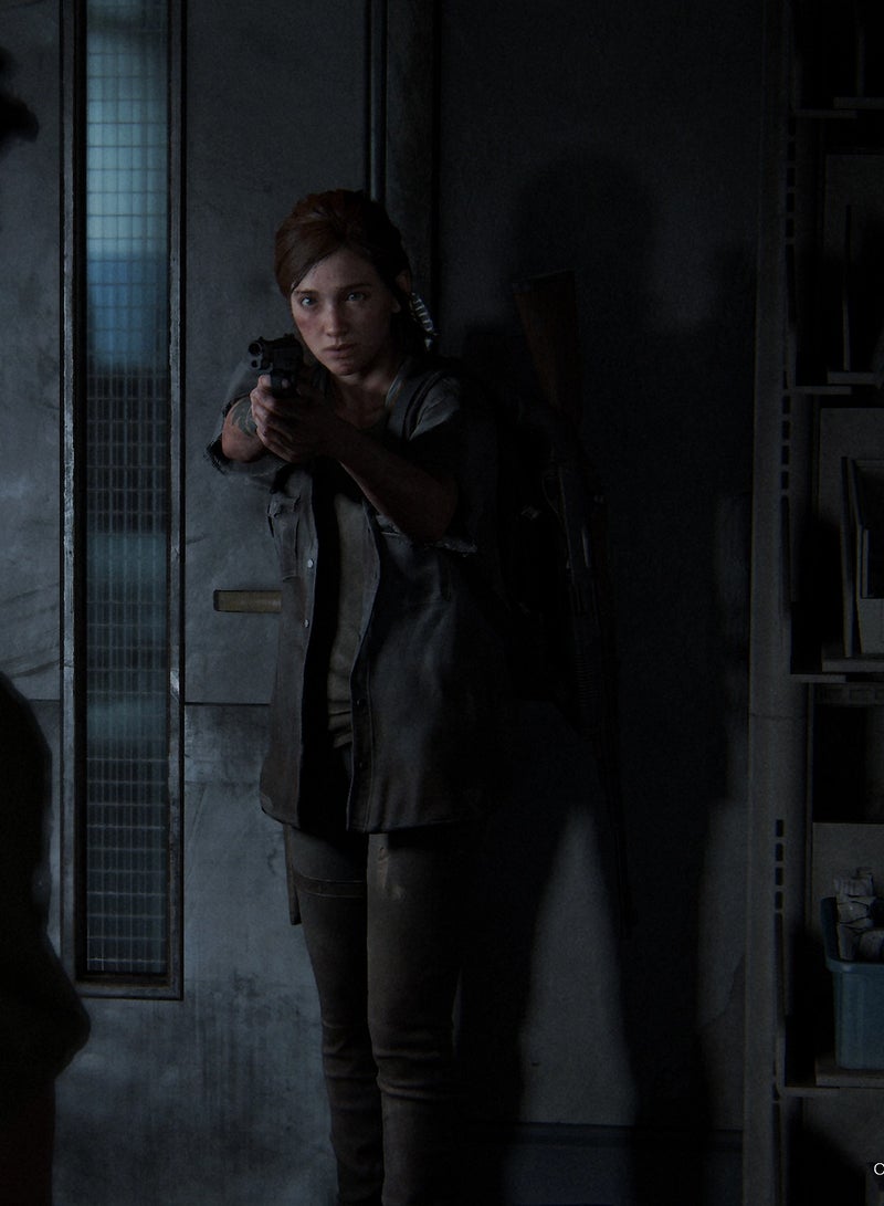 PlayStation The Last of Us Part 2 - PlayStation 4 (PS4) - Image 2