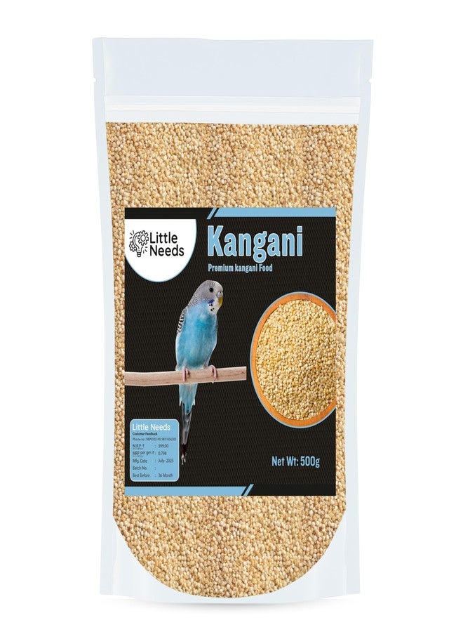 Little Needs Foxtail Millet/Kangni Seeds, Bird Food - (500gm) for Canaries, Finches, Waxbills, Budgies, Lovebird, Cockatiel, Parrot & Parakeet | All Life Stages Natural Seeds for Birds - Image 1