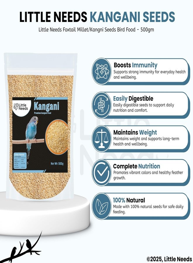 Little Needs Foxtail Millet/Kangni Seeds, Bird Food - (500gm) for Canaries, Finches, Waxbills, Budgies, Lovebird, Cockatiel, Parrot & Parakeet | All Life Stages Natural Seeds for Birds - Image 2