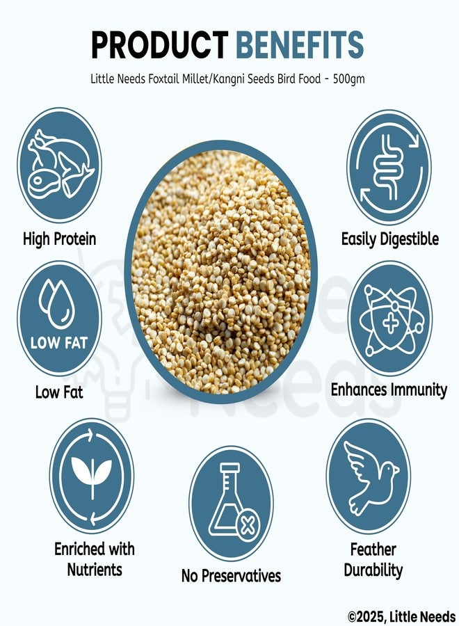 Little Needs Foxtail Millet/Kangni Seeds, Bird Food - (500gm) for Canaries, Finches, Waxbills, Budgies, Lovebird, Cockatiel, Parrot & Parakeet | All Life Stages Natural Seeds for Birds - Image 4